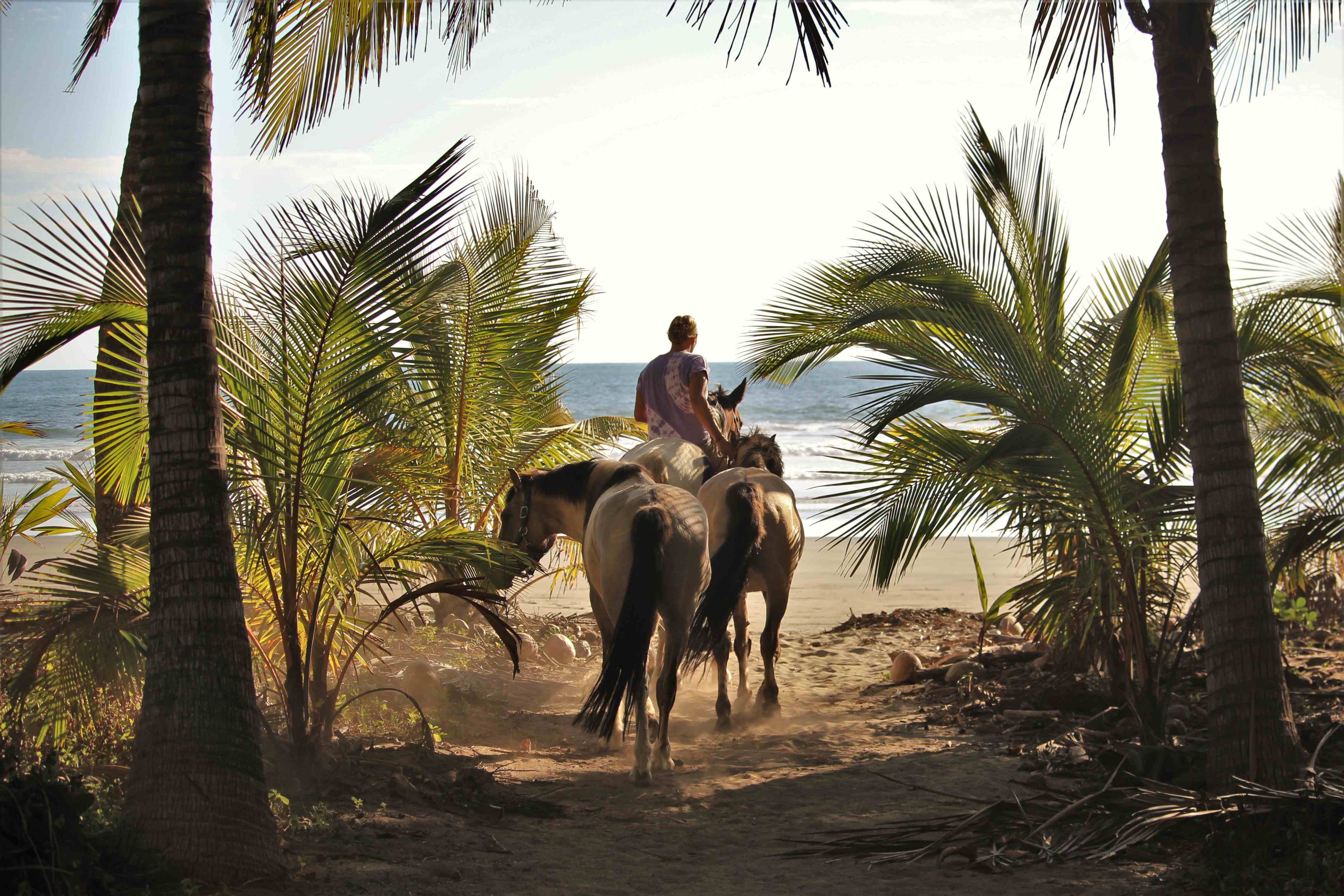 Life in Playa Coyote, Costa Rica: A Paradise for Nature Lovers and Beach Enthusiasts